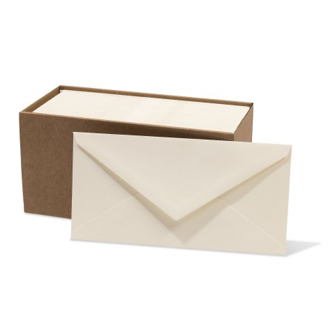 Rivoli stationery envelopes DIN long 110 x 220 mm, 100 pieces, 120 g/m², yellowish white