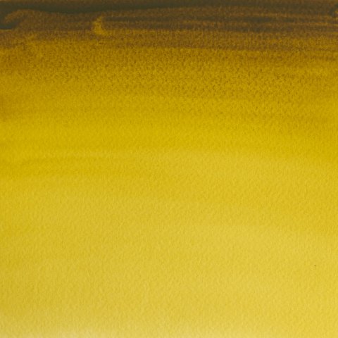 Winsor &amp; Newton Watercolor Paint Professional 1/2 bowl, green gold (294)