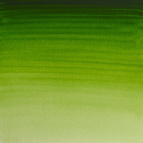 Jaxon Aquarellfarbe Permanent Gelb | 1/2 Napf | Hochwertige Künstler-Aquarellfarbe | Lichtecht & Farbintensiv