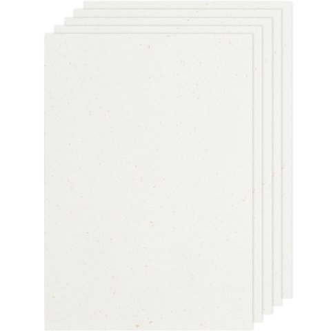 Paper Poetry Renew DIN A4 Karton 220 g/m²,210 x 297 DIN A4,5Stück,offwhite/roségold