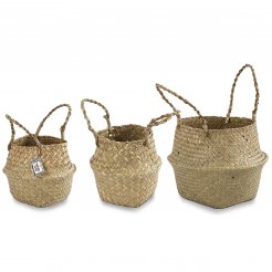 Cestino di alghe, con manici