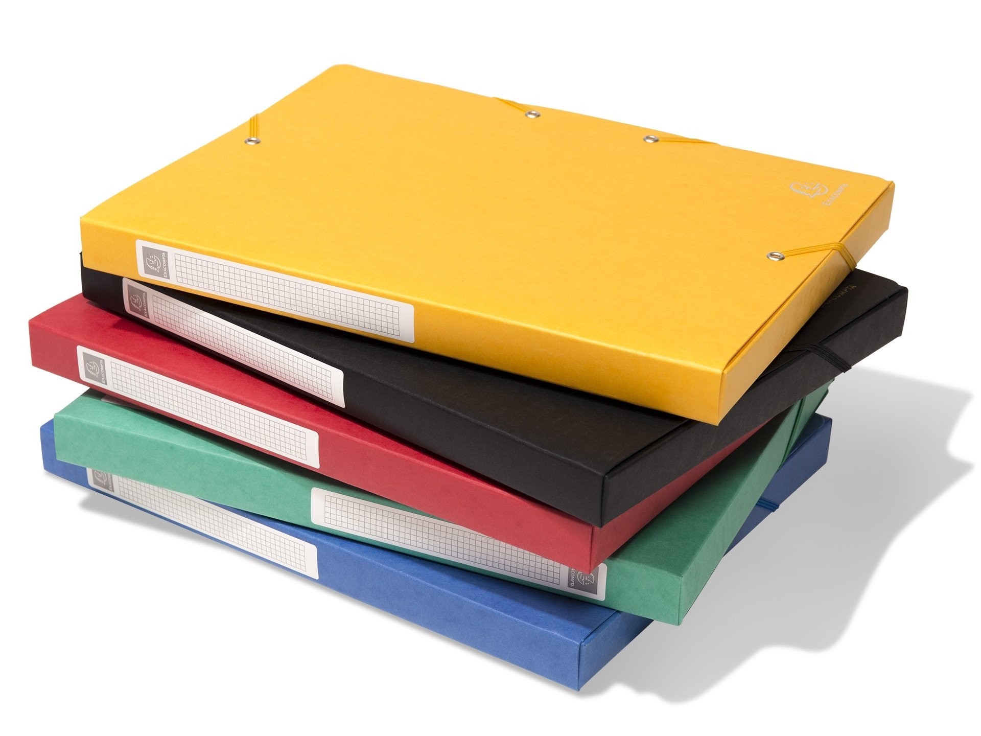 Exacompta 50833E Archivboxen mit Gummizug Grün 1 Stück für DIN A4 80mm Rücken aus Colorspan-Karton 