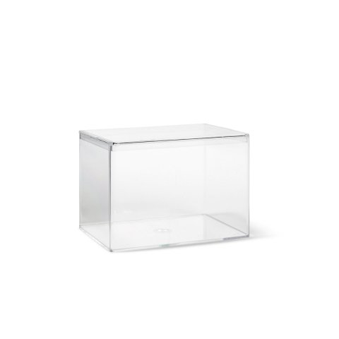 Plastic boxes, transparent, rectangular 95 x 65 x 65 mm, (F)