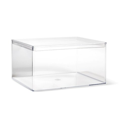 Plastic boxes, transparent, rectangular 130 x 95 x 45 mm, (F)