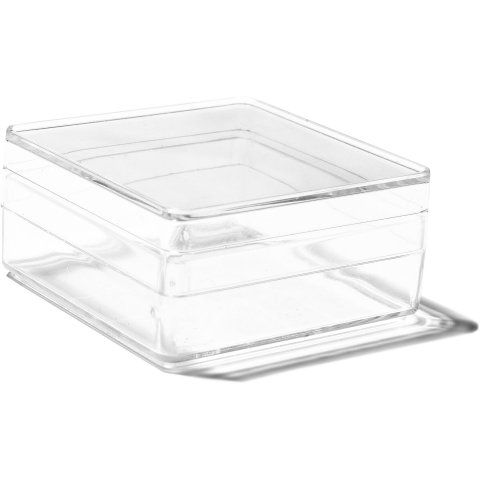 Plastic boxes, transparent, square 59 x 59 x 30 mm, (F, S)