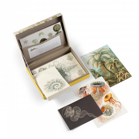 Pepin Briefpapierset Letter Writing Set 40 Bl. A5+Kuverts, 50 Sticker, Art Forms in Nature