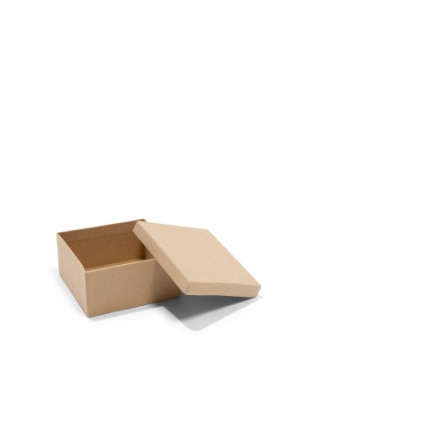 Envío Plegable Cajas Cartón Embalaje Productos de Braun 